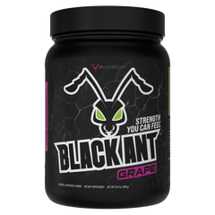 Black Ant